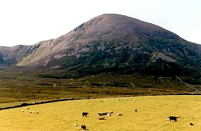 CroachPatrick01.jpg (24728 bytes)